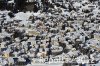 Luftaufnahme Kanton Graubuenden/Davos/Davos 2012 - Foto Davos  9988